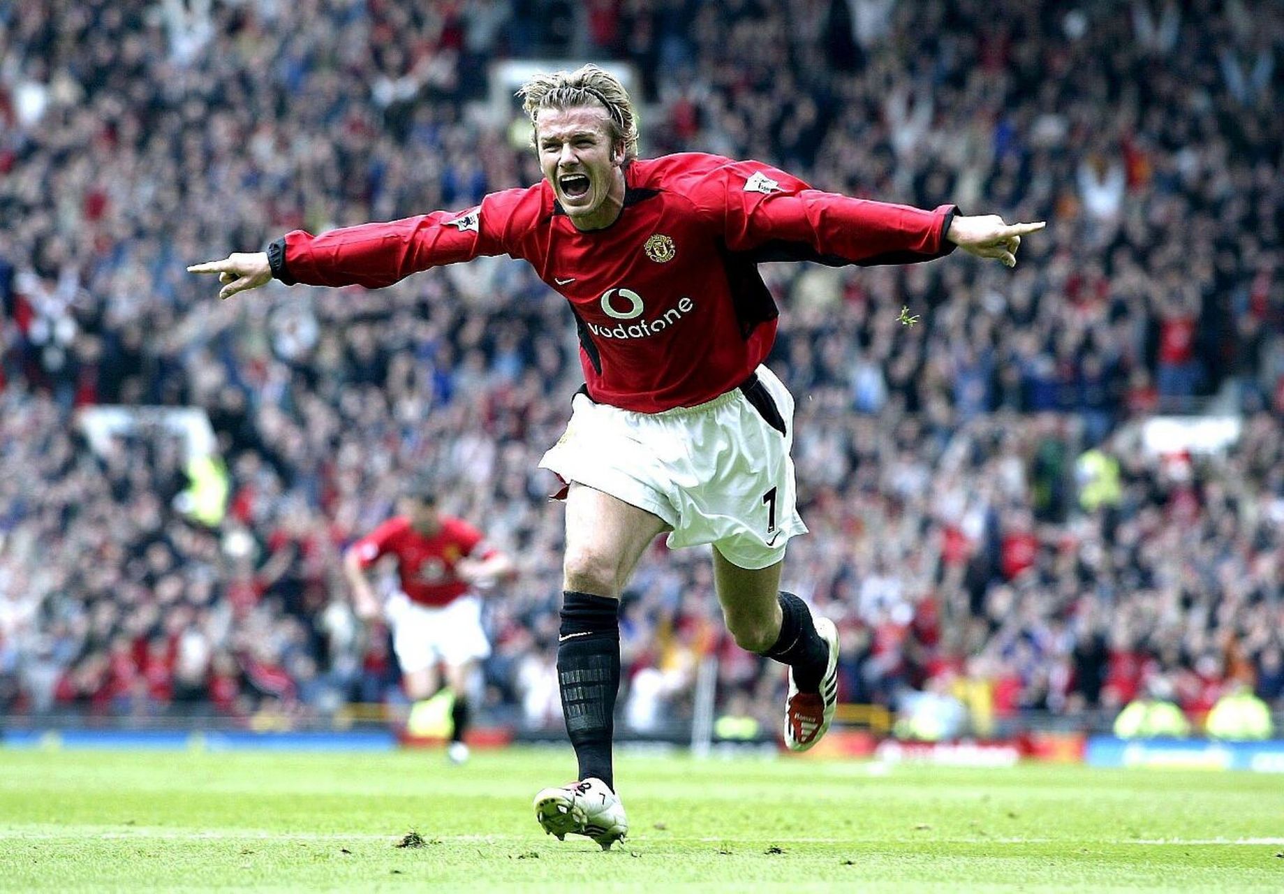 在未来的国 在未来的国