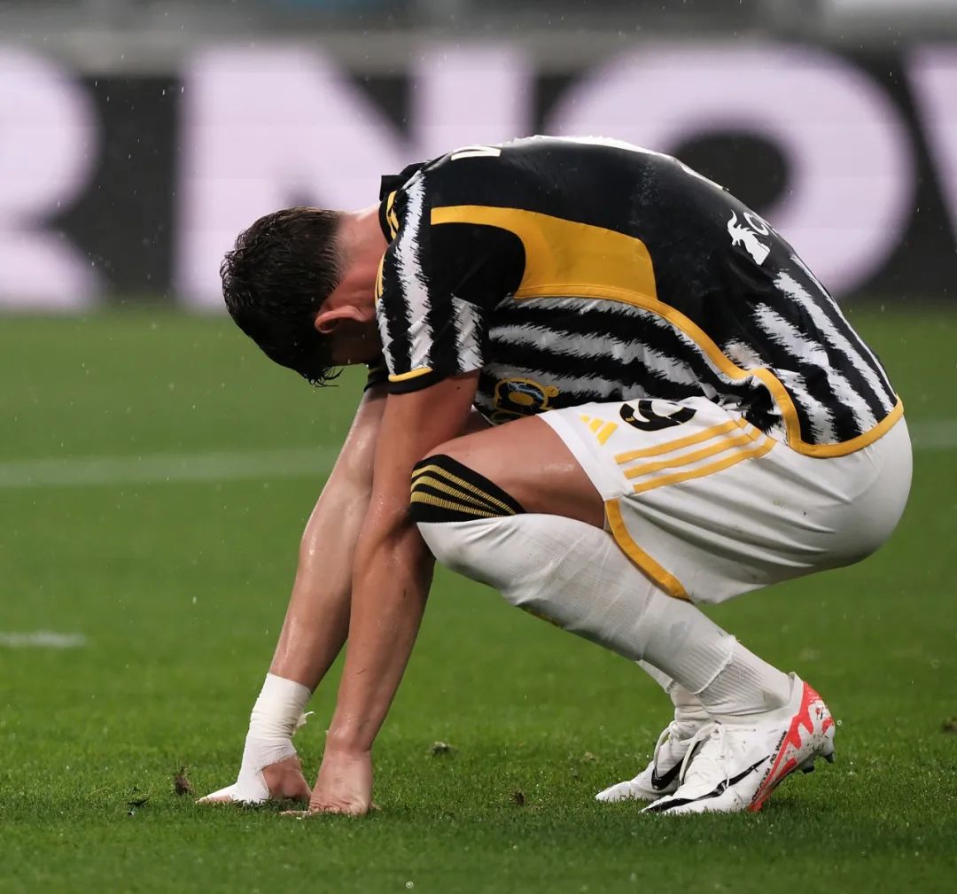 能将其引入 能将其引入